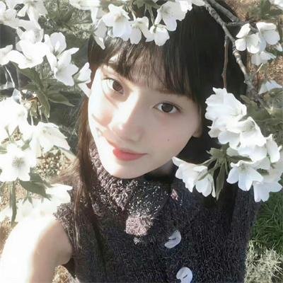 蛮宫艶侠
