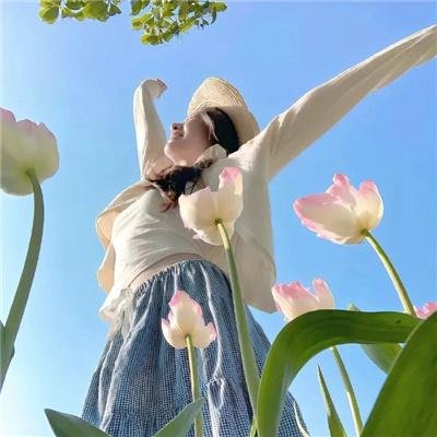 名门淑女